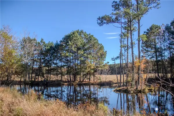 9501 Wilcox Neck Road, Charles City, VA 23030