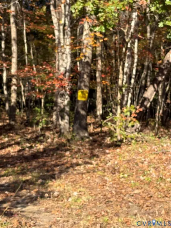 423 Western Drive, Lawrenceville, VA 23868 - Image #3