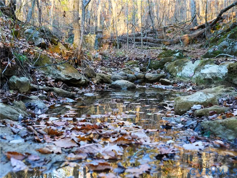 0 Mccrorys Hill, Fairfield, VA 24435 - Image #2