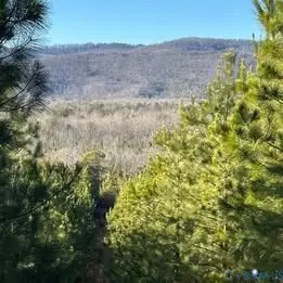 Lot 1 and 2 Secretarys Sand Road, Schuyler, VA 22969