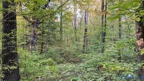 Lot 19 Stonewall Drive, Amelia Courthouse, VA 23002