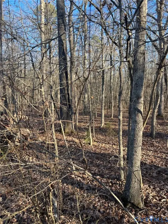 32-1-5 Patrick Henry Highway, Amelia Court House, VA 23002 - Image #3