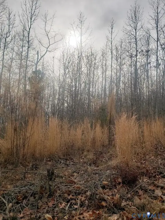 Lot 14 Mountain Creek Rd, Green Bay, VA 23942