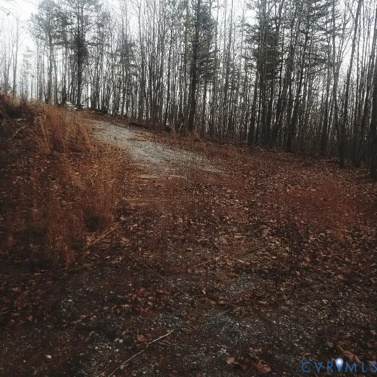 Lot 16 Mountain Creek Rd, Green Bay, VA 23942 - Image #1
