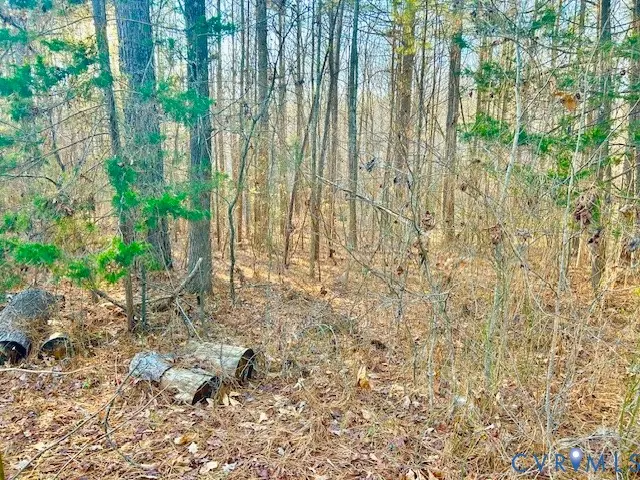 19331 River Road, Chesterfield, VA 23838 - Image #2