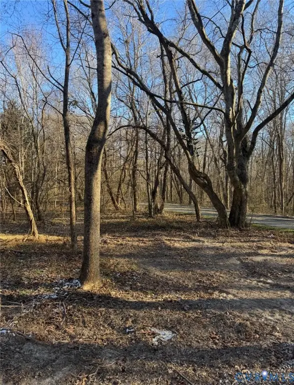 16374 Saint Peters Church Rd, Montpelier, VA 23192 - Image #3