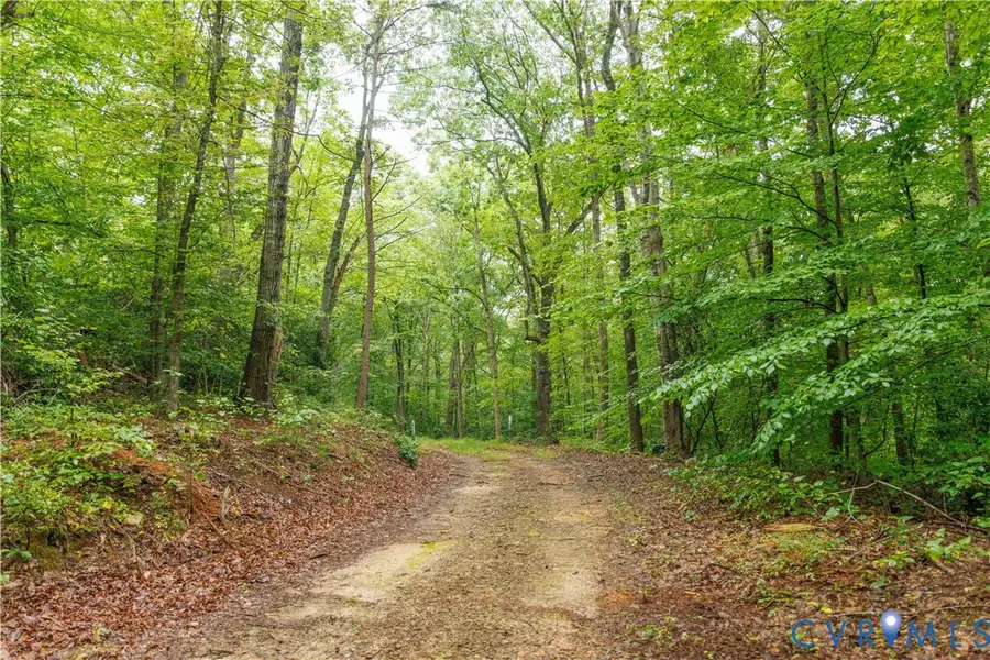00 Shiloh Mountain Trail, Schuyler, VA 22969 - Image #2