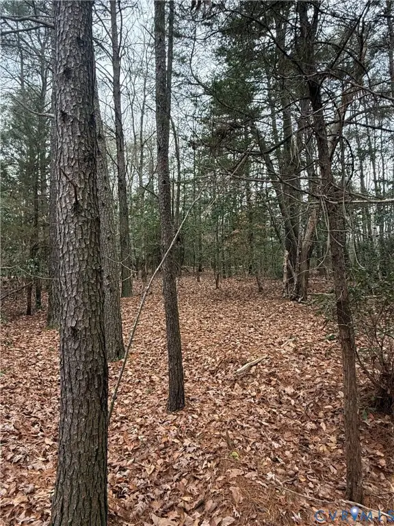 00 Whiting Creek Road, Locust Hill, VA 23092 - Image #3