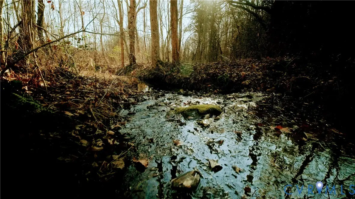 00 Cartersville Rd., New Canton, VA 23123 - Image #1