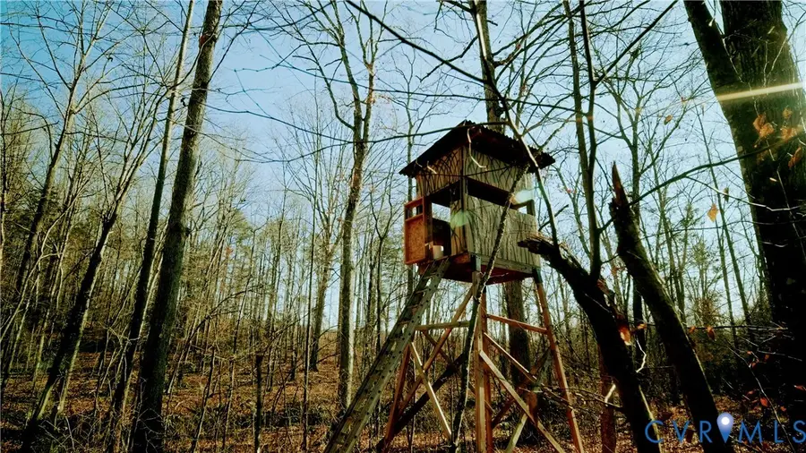 00 Cartersville Rd., New Canton, VA 23123 - Image #3