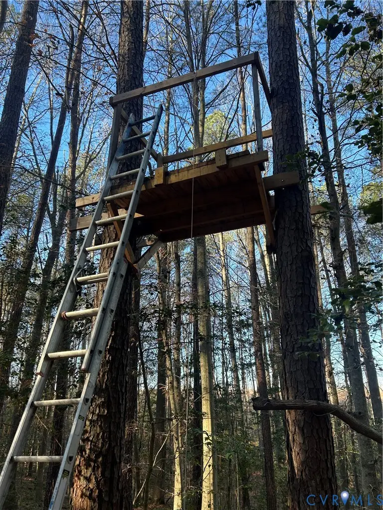 10829 Graceland Farms Lane, Gloucester, VA 23061 - #3