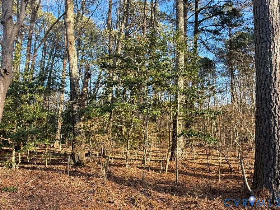 Lot 1 Timberneck Road, Deltaville, VA 23043 - #3
