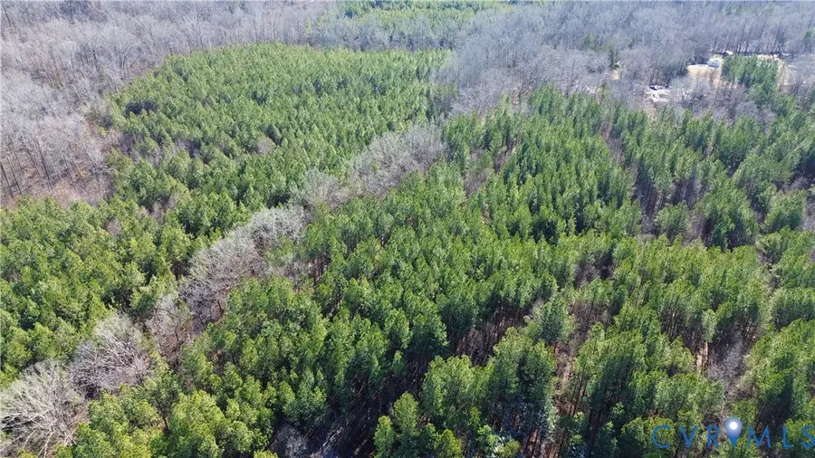 0 Beaver Acres Lane, Buffalo Junction, VA 24529 - Image #2