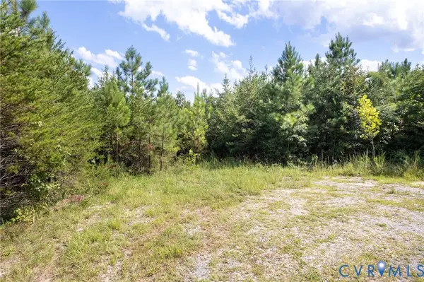 0 Danieltown Road, Goochland, VA 23063