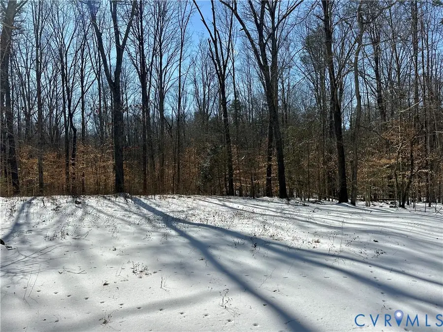 395 Holly Grove Estates, Bumpass, VA 23024 - #2