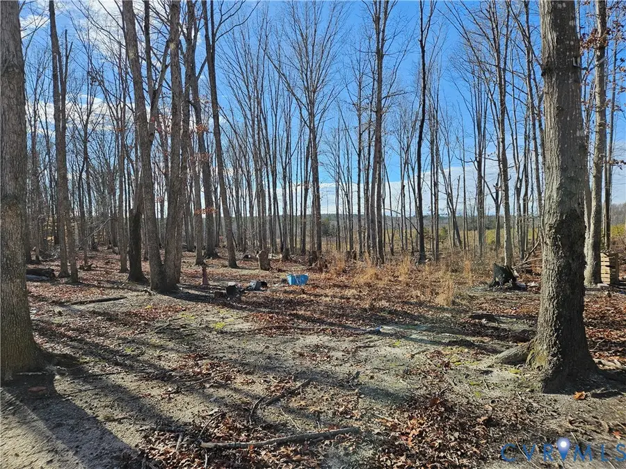 11564 Fosters Lane, Amelia Court House, VA 23002 - #3