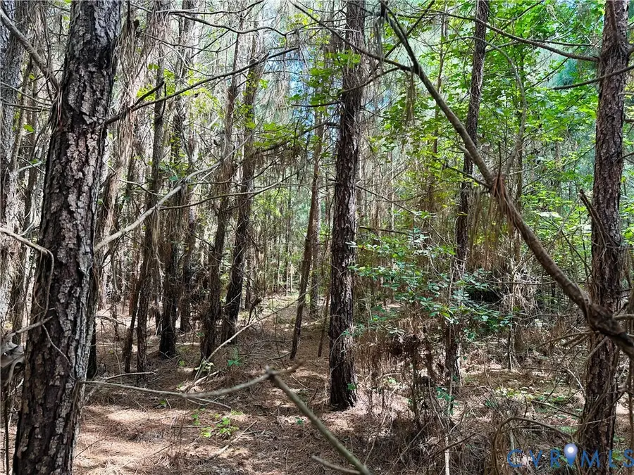 00 Parcel B Turnpike Rd, Bohannon, VA 23021 - #2