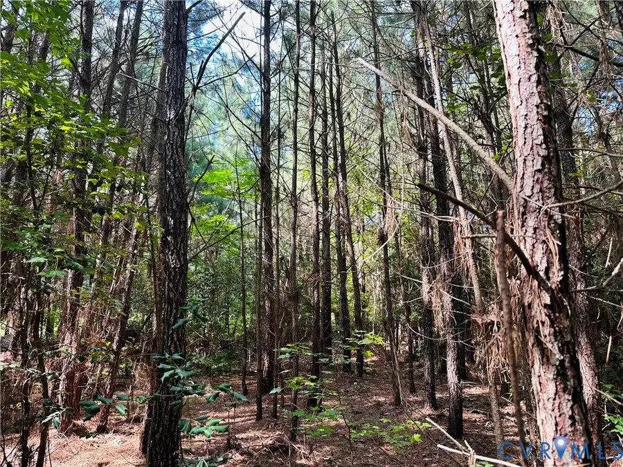 00 Parcel B Turnpike Rd, Bohannon, VA 23021 - #3