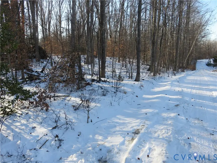 TBD Hackney Road, Goochland, VA 23063 - #3