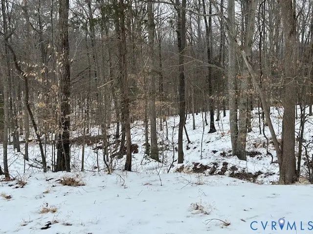 5687 Willow Street, Powhatan, VA 23139 - #2