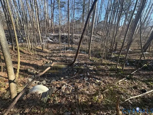 3939 Guildford Lane, Williamsburg, VA 23188 - #3