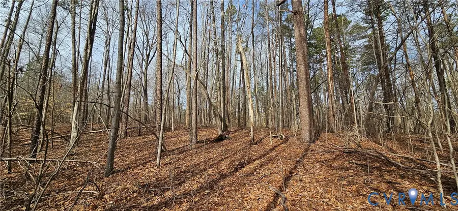 9-A-61 Springfield Road, Meherrin, VA 23954 - #3