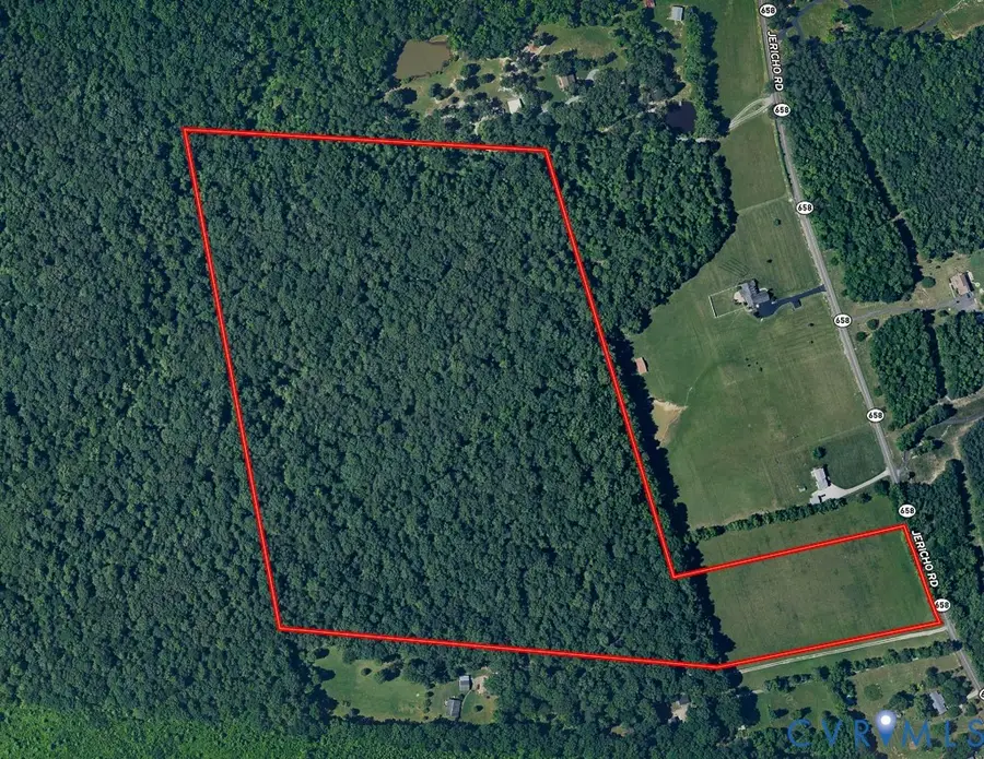 49.26 Acres Jericho Road, Ruther Glen, VA 22546 - #2