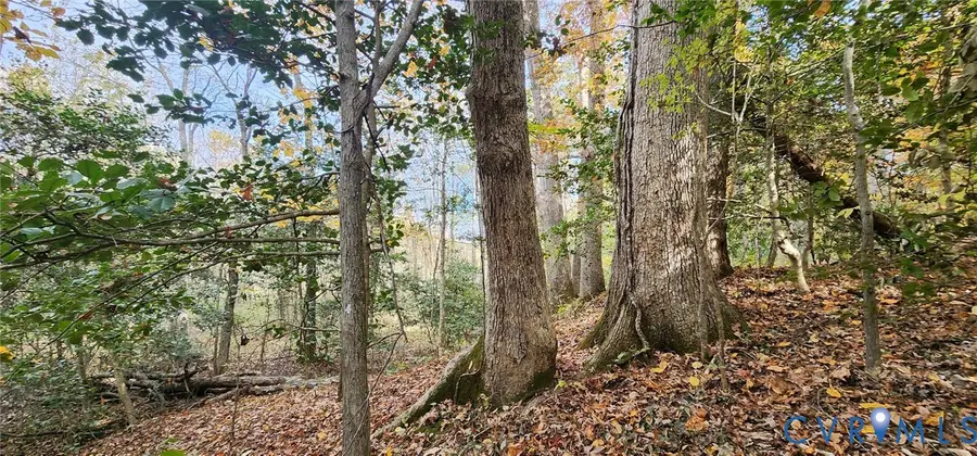 5031 Cromarty Road, Powhatan, VA 23139 - #3