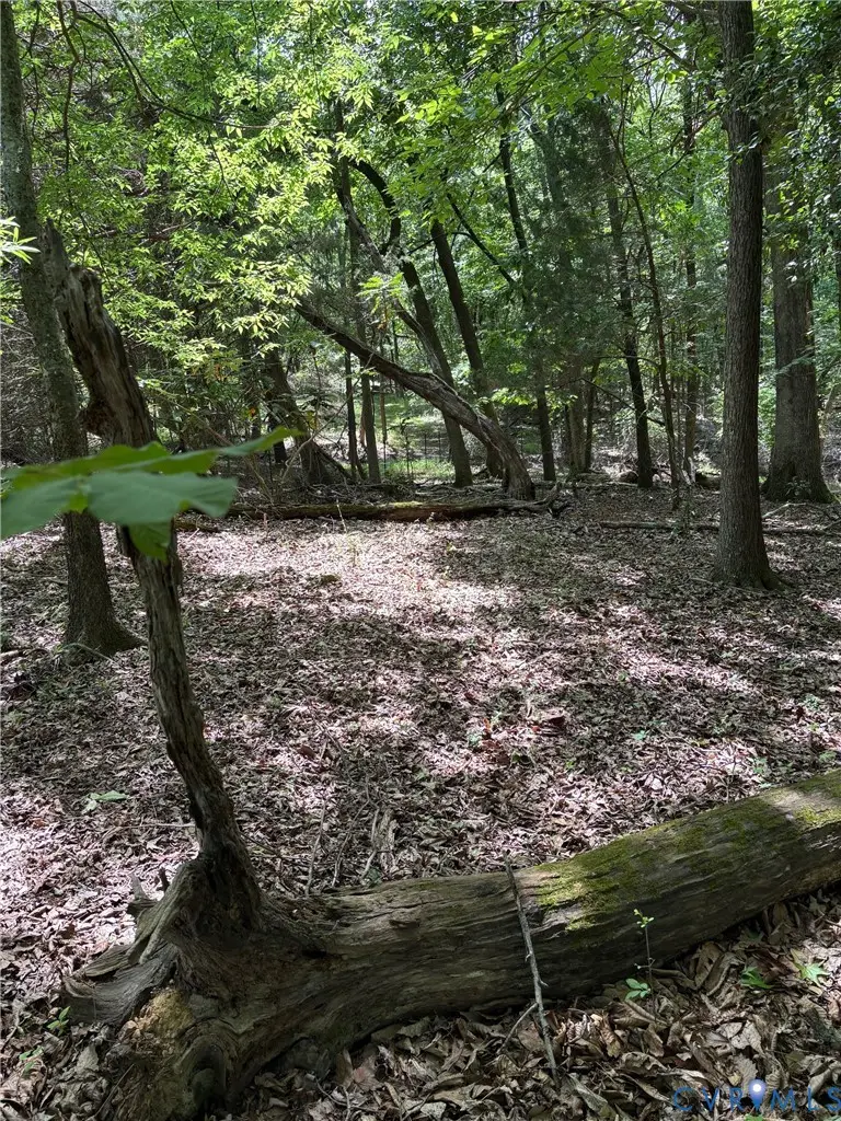 3430 E Old Gun, Midlothian, VA 23113 - #2