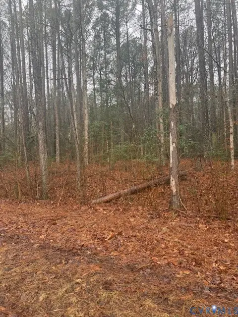 0 Cherry Hill Rd, McKenney, VA 23872 - #3