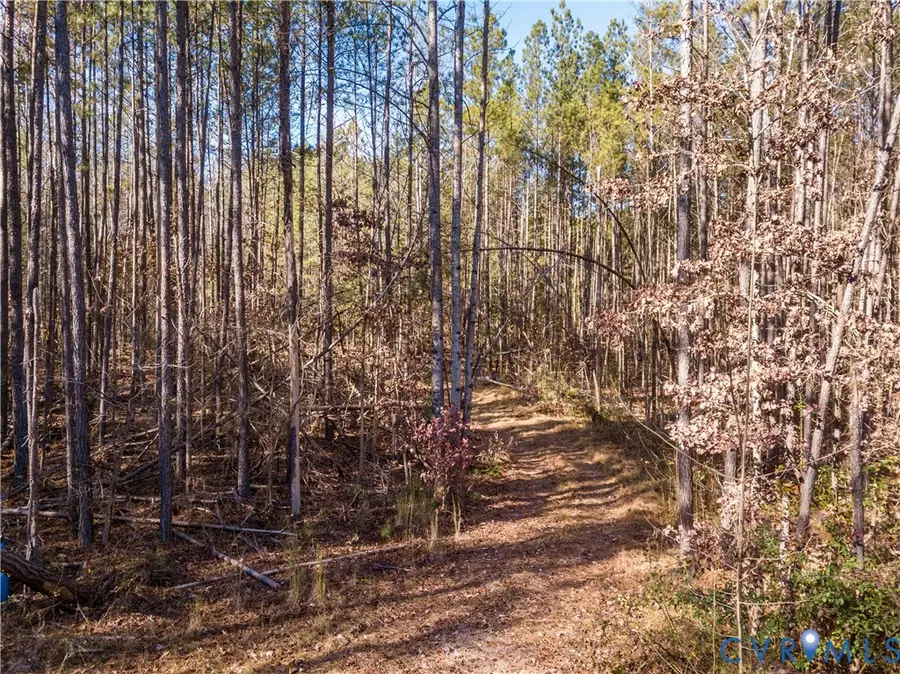 0 Grannys Lane, Rockville, VA 23146 - #3