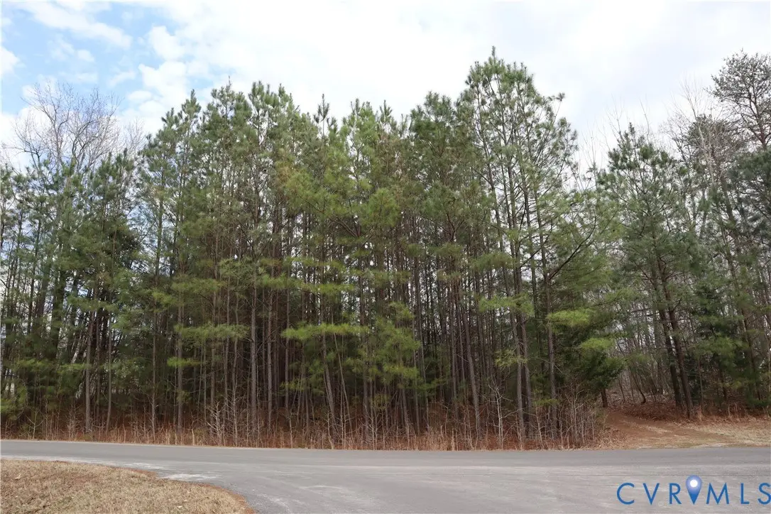 1622 Olde Links Drive, Powhatan, VA 23139 - #1