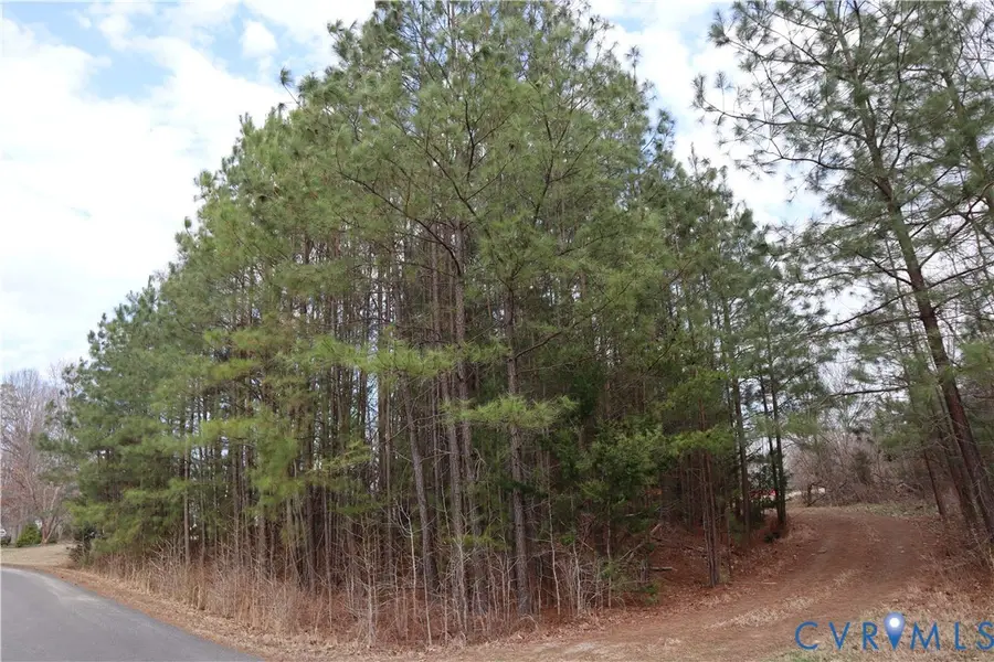 1622 Olde Links Drive, Powhatan, VA 23139 - #2