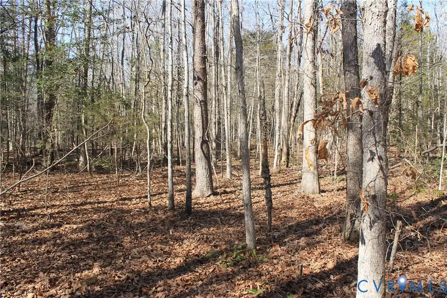 000 Watkins Forest Road, Chase City, VA 23924 - #3