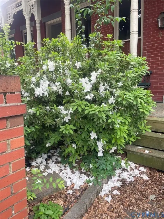 603 Chamberlayne Parkway, Richmond, VA 23220 - #3