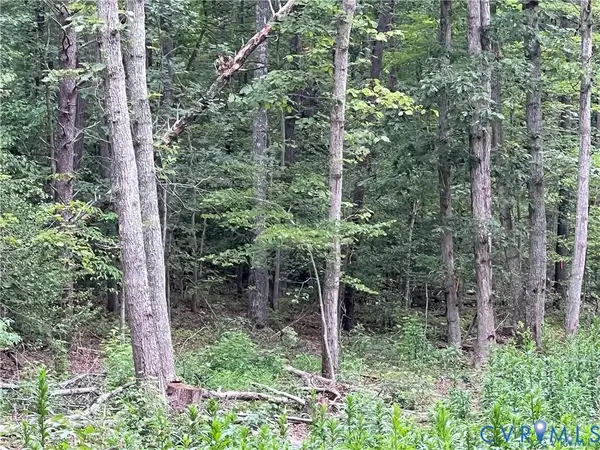 3850 Three Chopt Road, Gum Spring, VA 23065