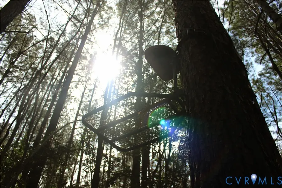 00 Greentown Drive, Lawrenceville, VA 23868 - #3