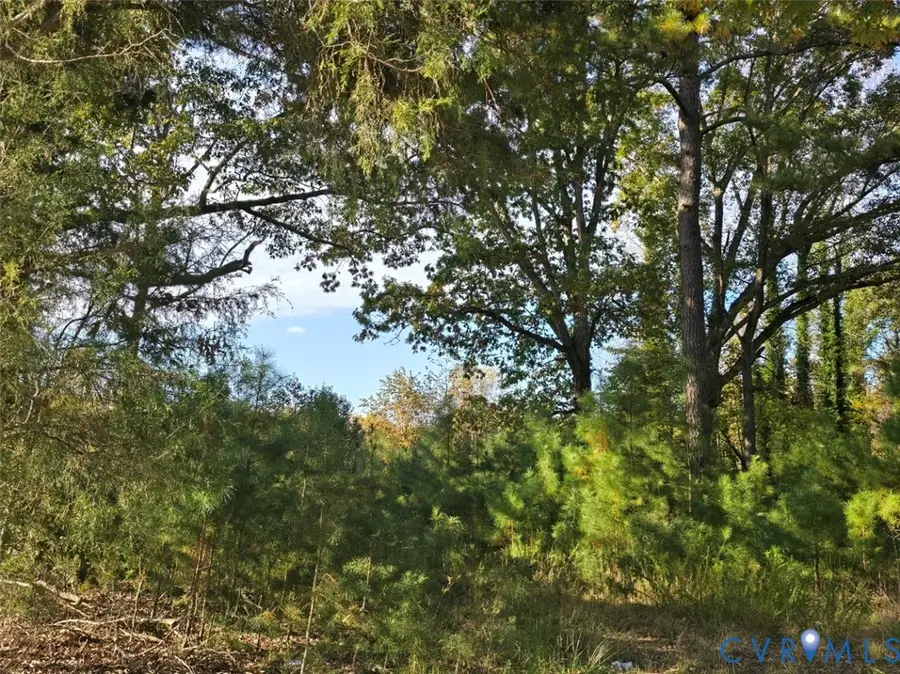 Parcel B Patrick Henry Highway, Amelia Court House, VA 23002 - #2