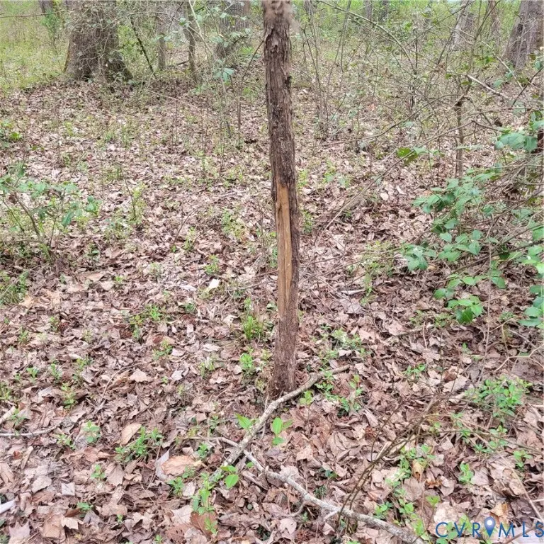 11121 Coalboro Road, Chesterfield, VA 23838 - #2