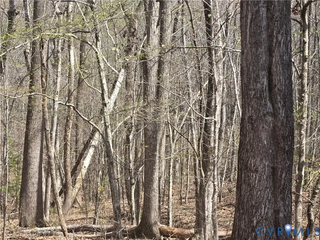 0 Equestrian Trail Road, New Canton, VA 23123 - #1