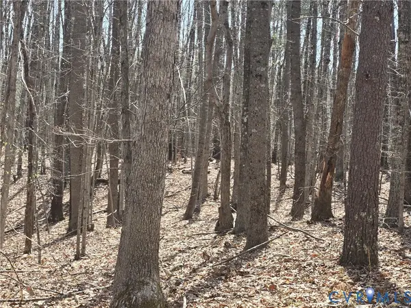 00 Equestrian Trail Road, New Canton, VA 23123