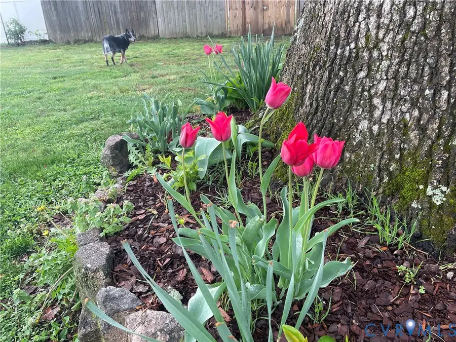 4319 Hollywood Drive, North Chesterfield, VA 23234 - #3