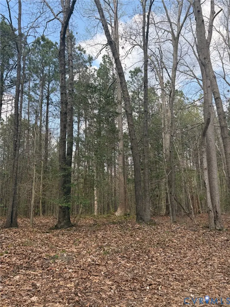 0 Richmond Road, Amelia Court House, VA 23002 - #1