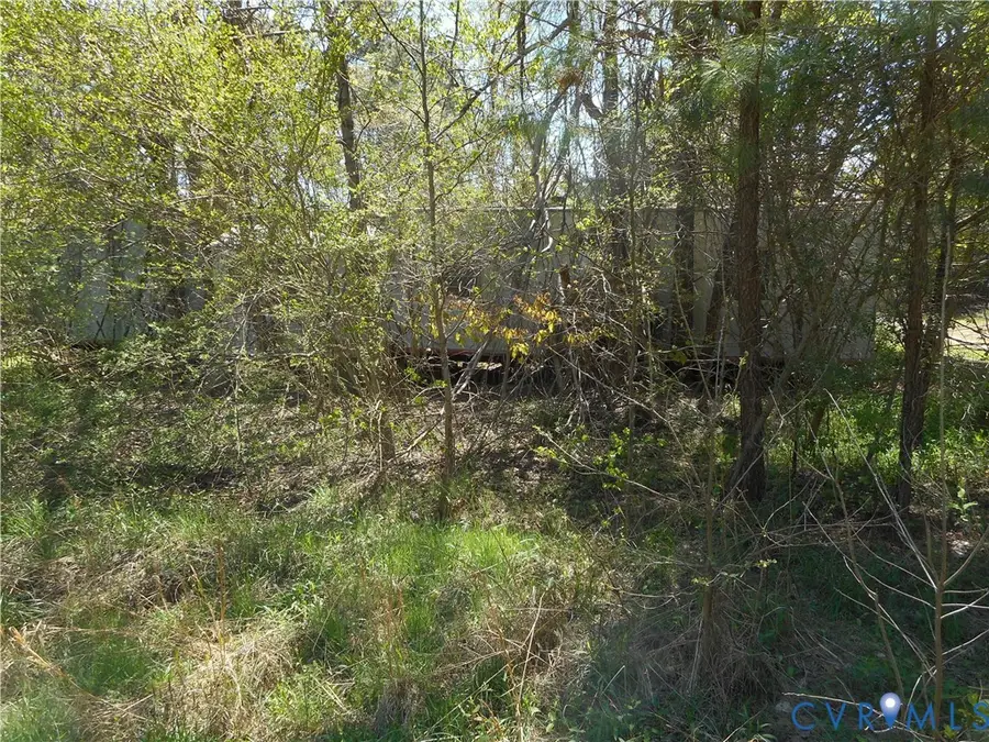 6016 Grubby Road, Wilsons, VA 23894 - #3