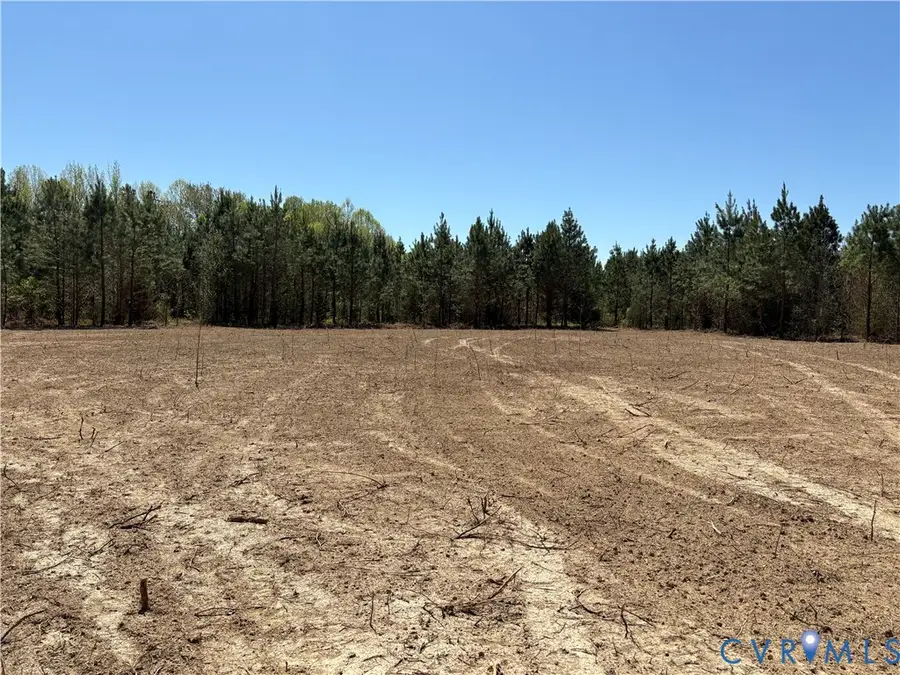 00 Mahixon Road, Manquin, VA 23106 - #2