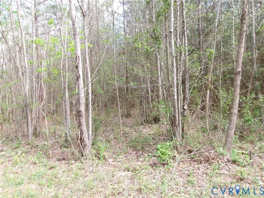 69-(6)-1 Lew Jones Road, Dewitt, VA 23840 - #3