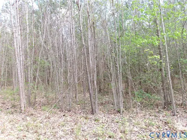 69-(6)-2 Lew Jones, DeWitt, VA 23840