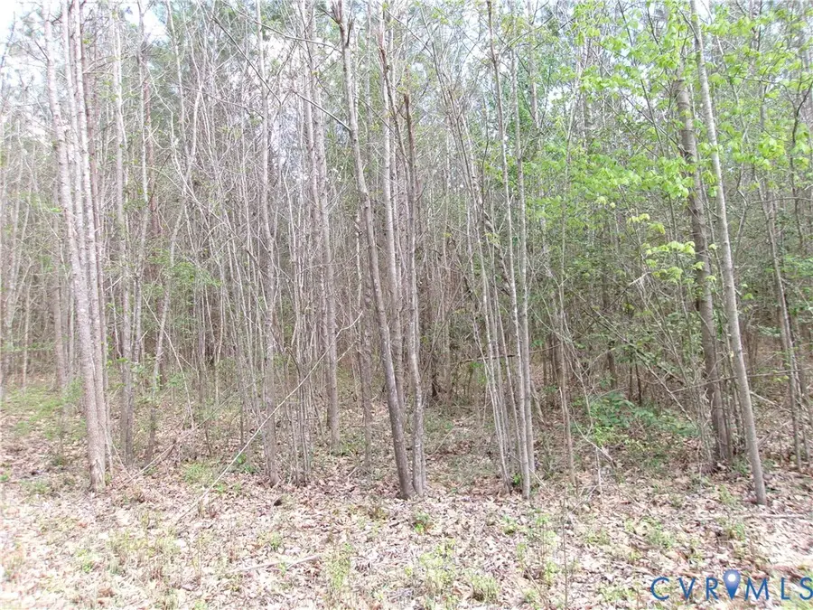 69-(6)-4 Snap Lodge Road, Dewitt, VA 23840 - #2