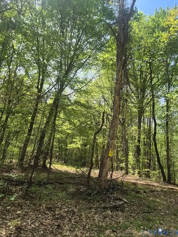 00 Greenfield Drive, South, VA 24553 - #3