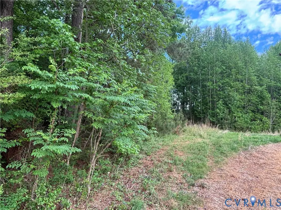 TBD Rolfe Highway, Elberon, VA 23846 - #2